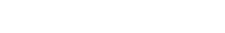 AND VISION - IP NVR